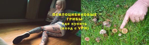 a pvp Вяземский