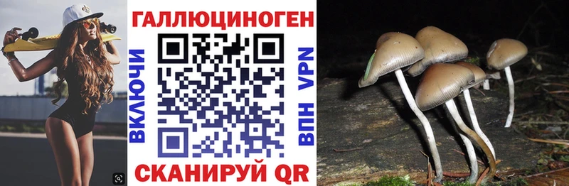 наркотики  Грязовец  Галлюциногенные грибы GOLDEN TEACHER 