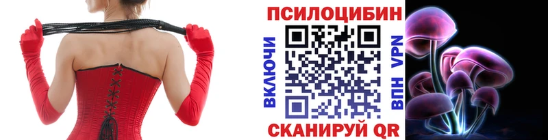 Псилоцибиновые грибы мицелий Грязовец